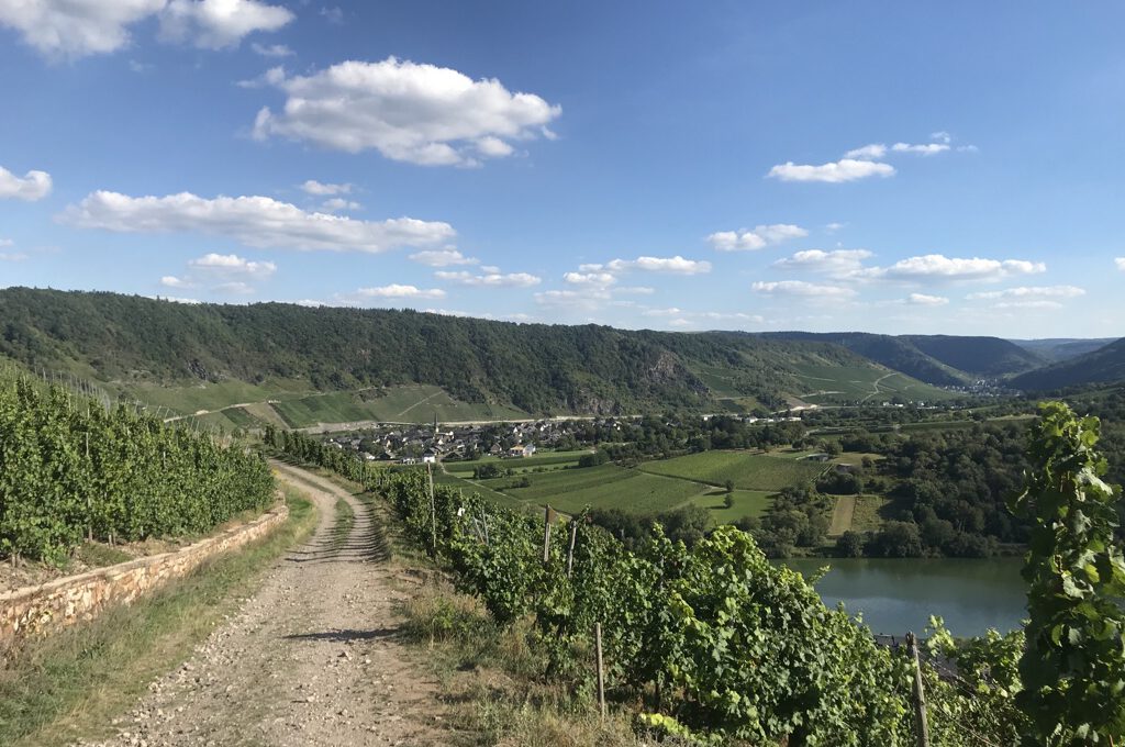 Wundervolle Wein- und Gourmetregionen