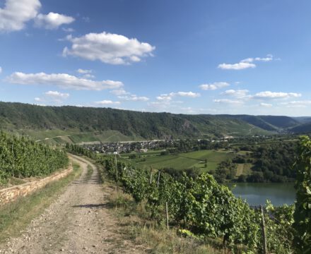 Wundervolle Wein- und Gourmetregionen