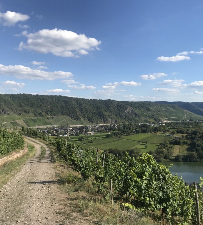 Wundervolle Wein- und Gourmetregionen